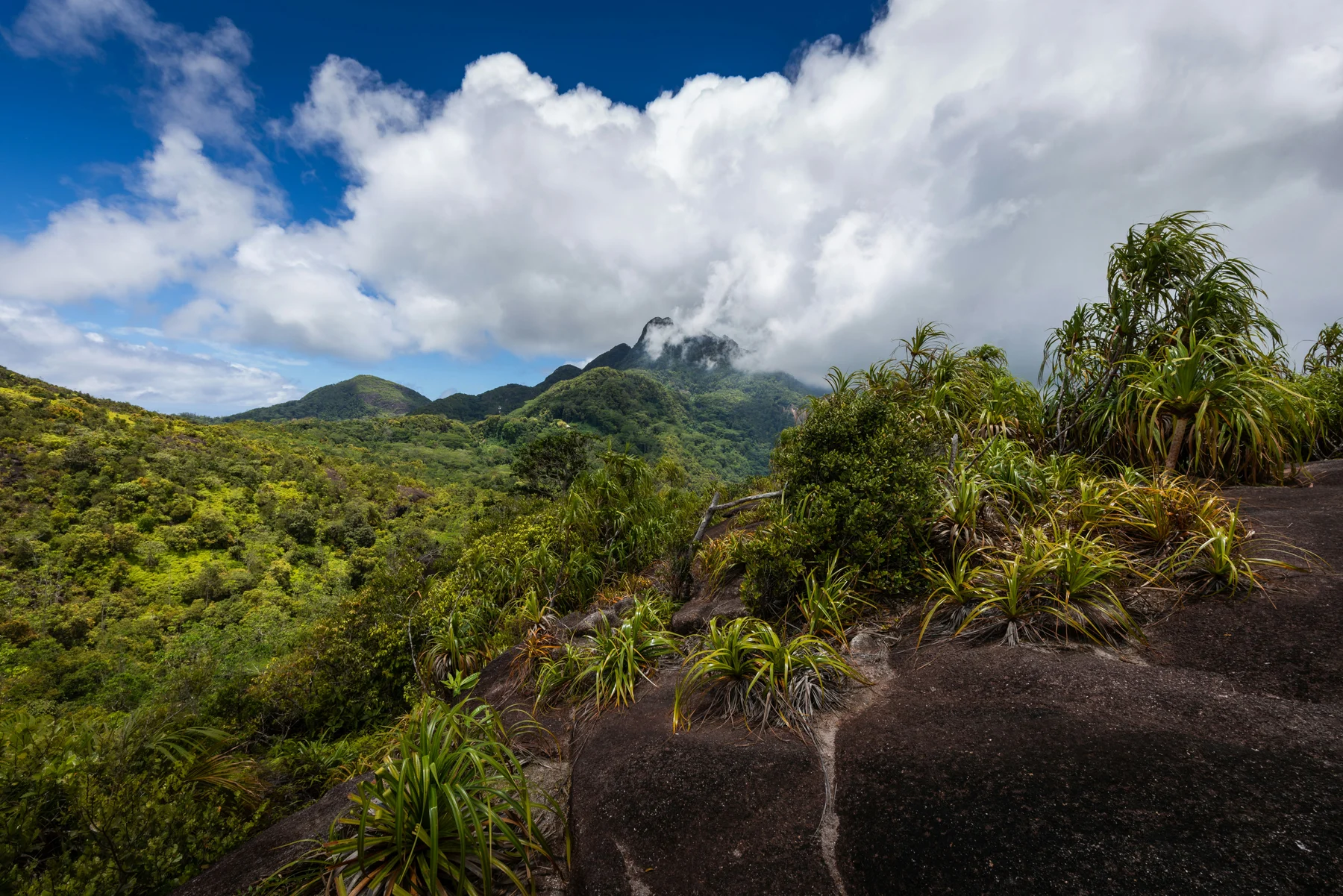Green mountain ridges in Seychelles